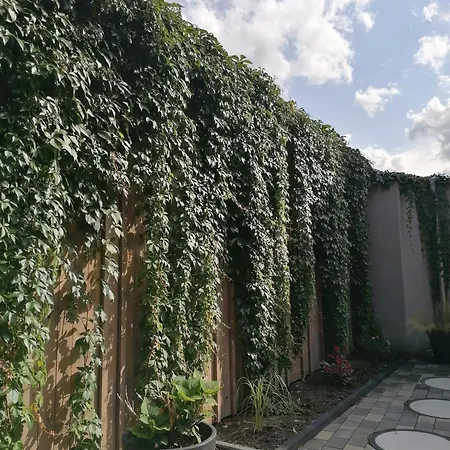 Ackerbürgerhof Ballstraße 18 * Quedlinburg