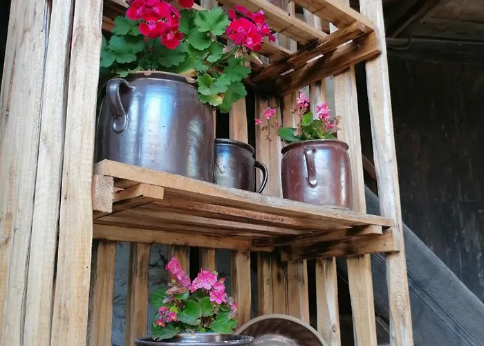 Ackerbuergerhof Ballstrasse 18 Lejlighed *