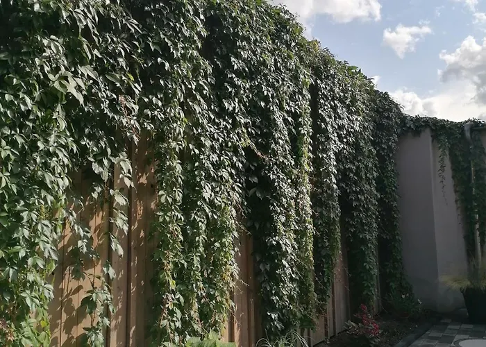 Ackerbuergerhof Ballstrasse 18 * Quedlinburg