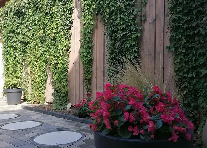 Ackerbuergerhof Ballstrasse 18 Apartamento *